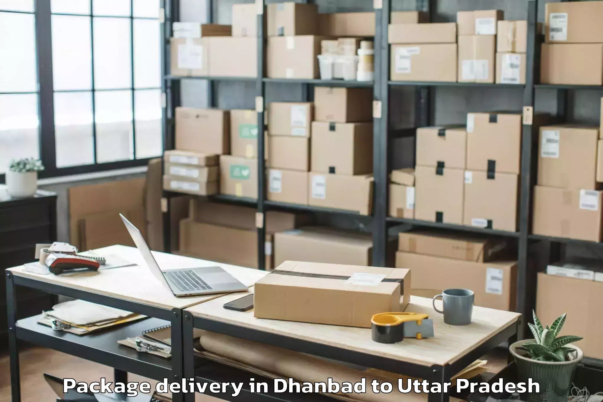 Book Dhanbad to Mahgawan Package Delivery Online